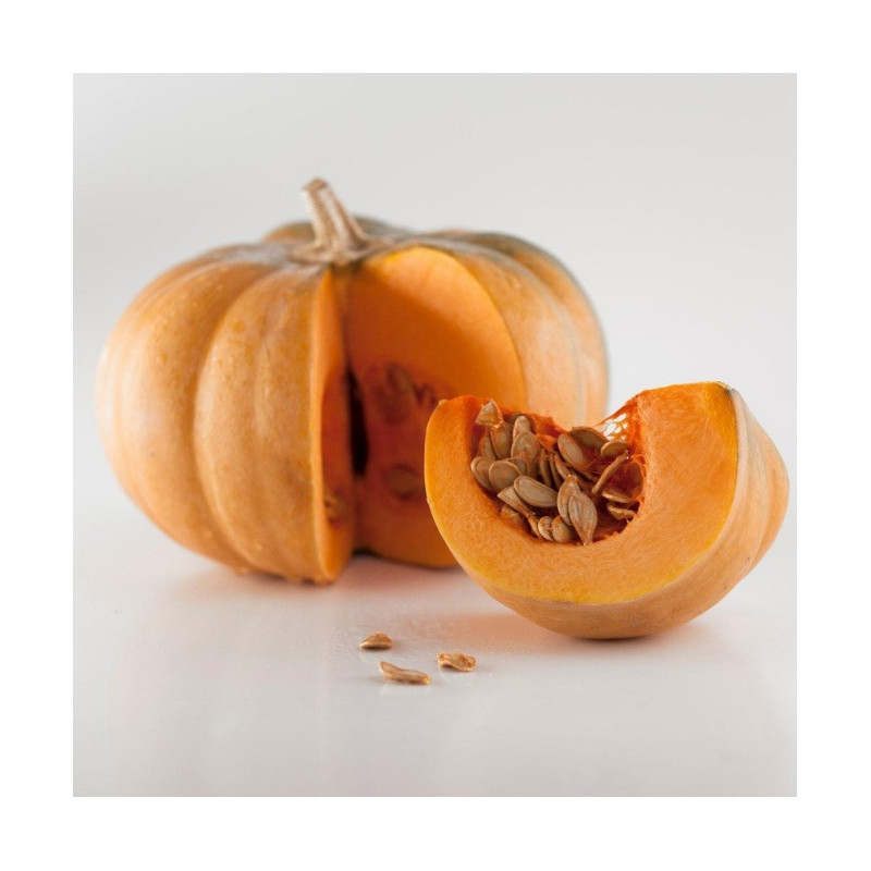 PUMPKIN JAM 100ml : $6.50ea PUMPKIN JAM 100ml : $6.50ea