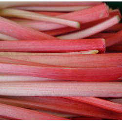 RHUBARB JAM 200ml : $8.50ea