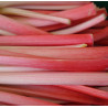 RHUBARB JAM 200ml : $8.50ea