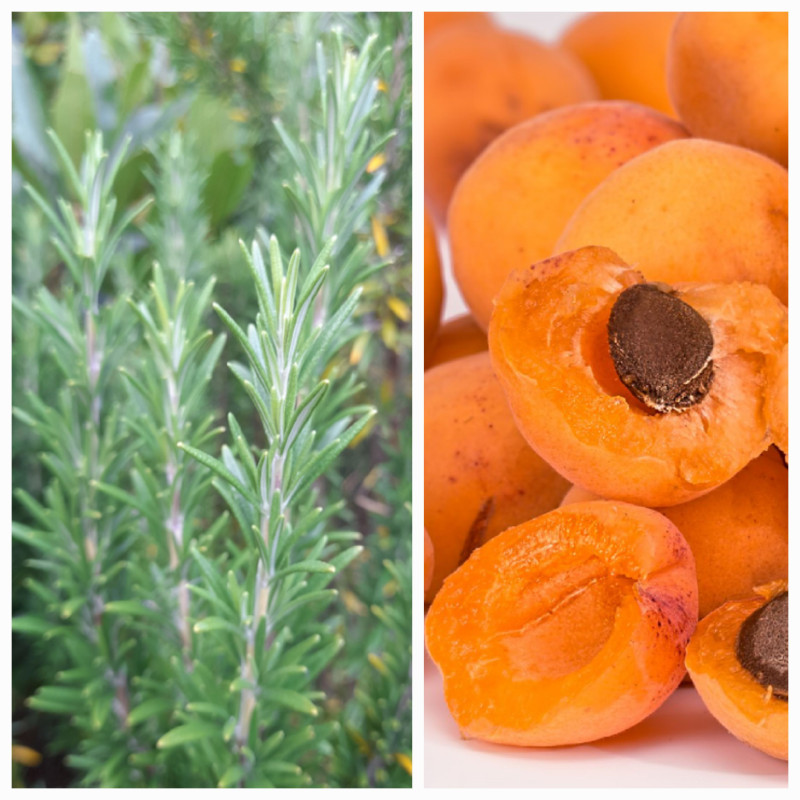 APRICOT & ROSEMARY VINEGAR - 250ml : $11.00ea APRICOT & ROSEMARY VINEGAR - 250ml : $11.00ea